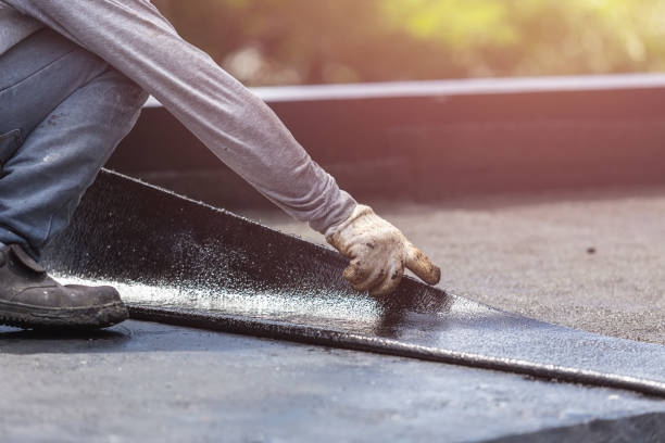 Professional Wet Basement Repair technician working in New Lothrop, MI